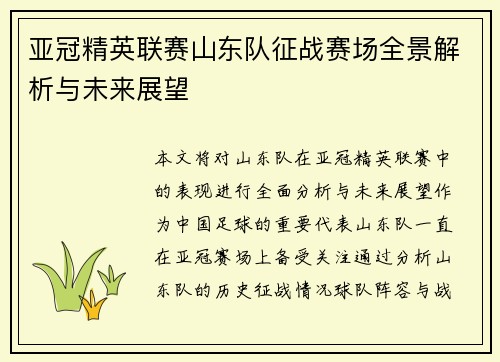 亚冠精英联赛山东队征战赛场全景解析与未来展望